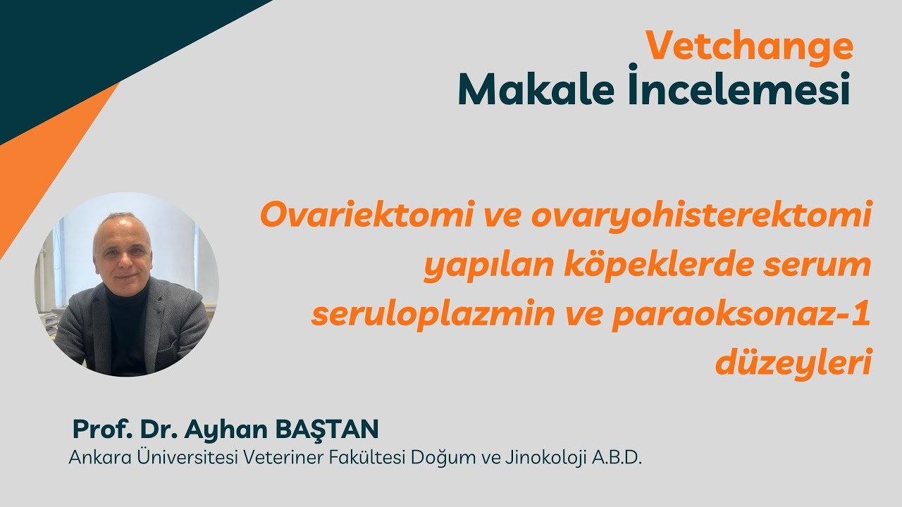“ Vetchange Makale İncelemesi -14” Prof.Dr.Ayhan Baştan #makale #vetchange #doğumvejinekoloji